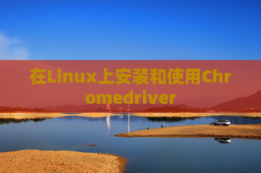 在Linux上安装和使用Chromedriver