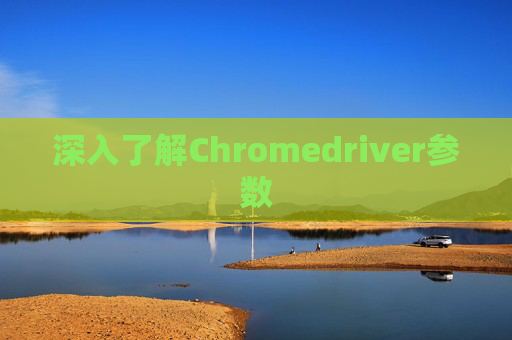 深入了解Chromedriver参数